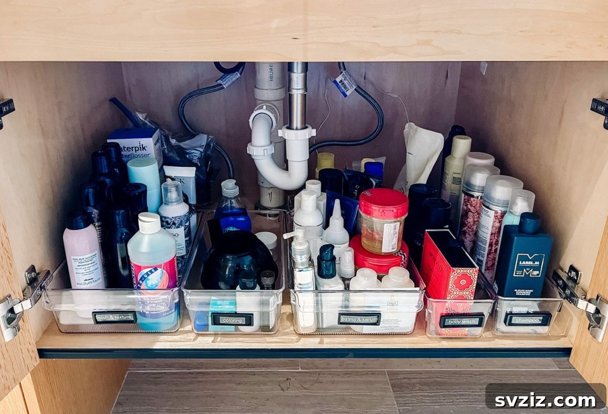 Under-the-Sink Storage Bins