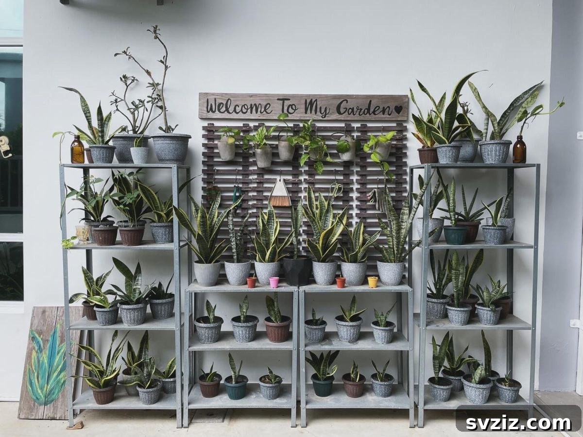31 Clever IKEA Solutions to Organize Every Room 15 plant display