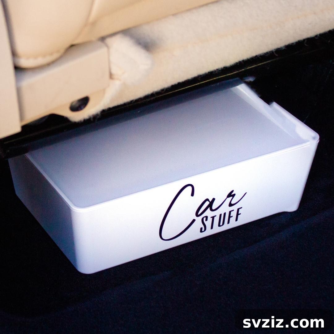 31 Clever IKEA Solutions to Organize Every Room 24 IKEA Bin Car Organizer