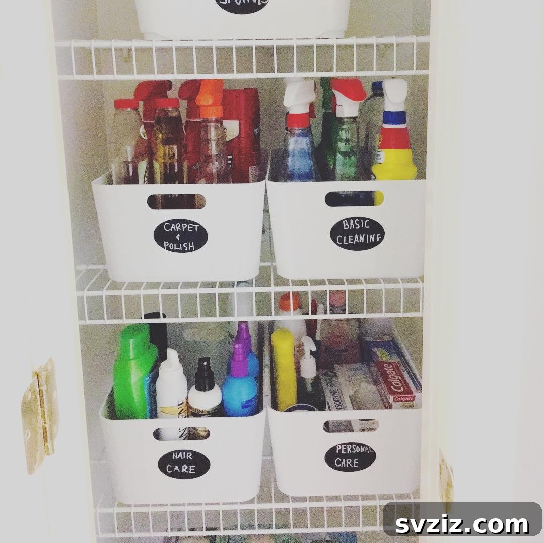 31 Clever IKEA Solutions to Organize Every Room 9 utility closet bins
