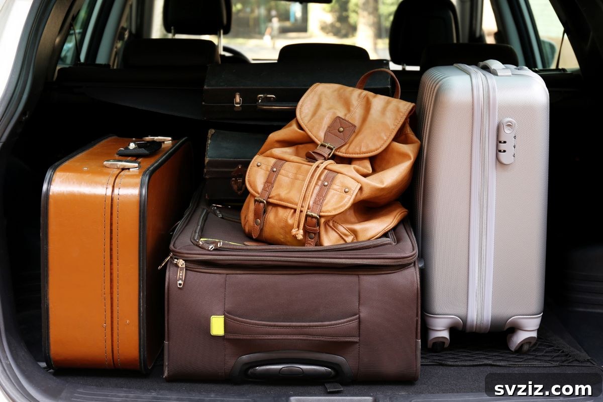 Utilize Suitcases & Duffle Bags for Efficient Moving
