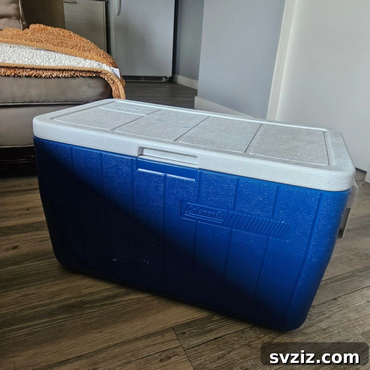 Use a Cooler for Fridge/Freezer Items During Your Move