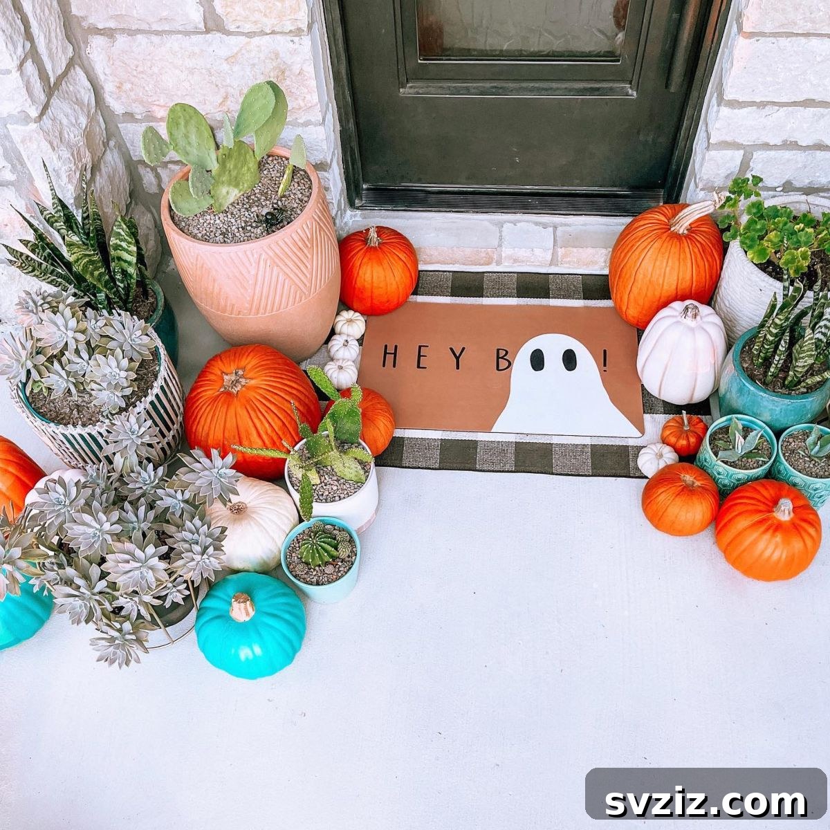 Succulents in Pots for Halloween