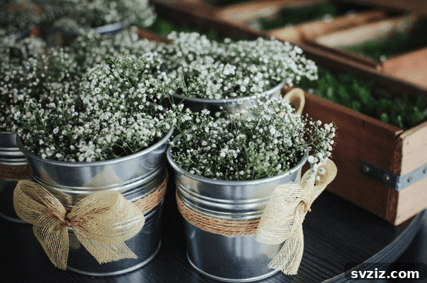 SOCKER Plant Pots for Flowers