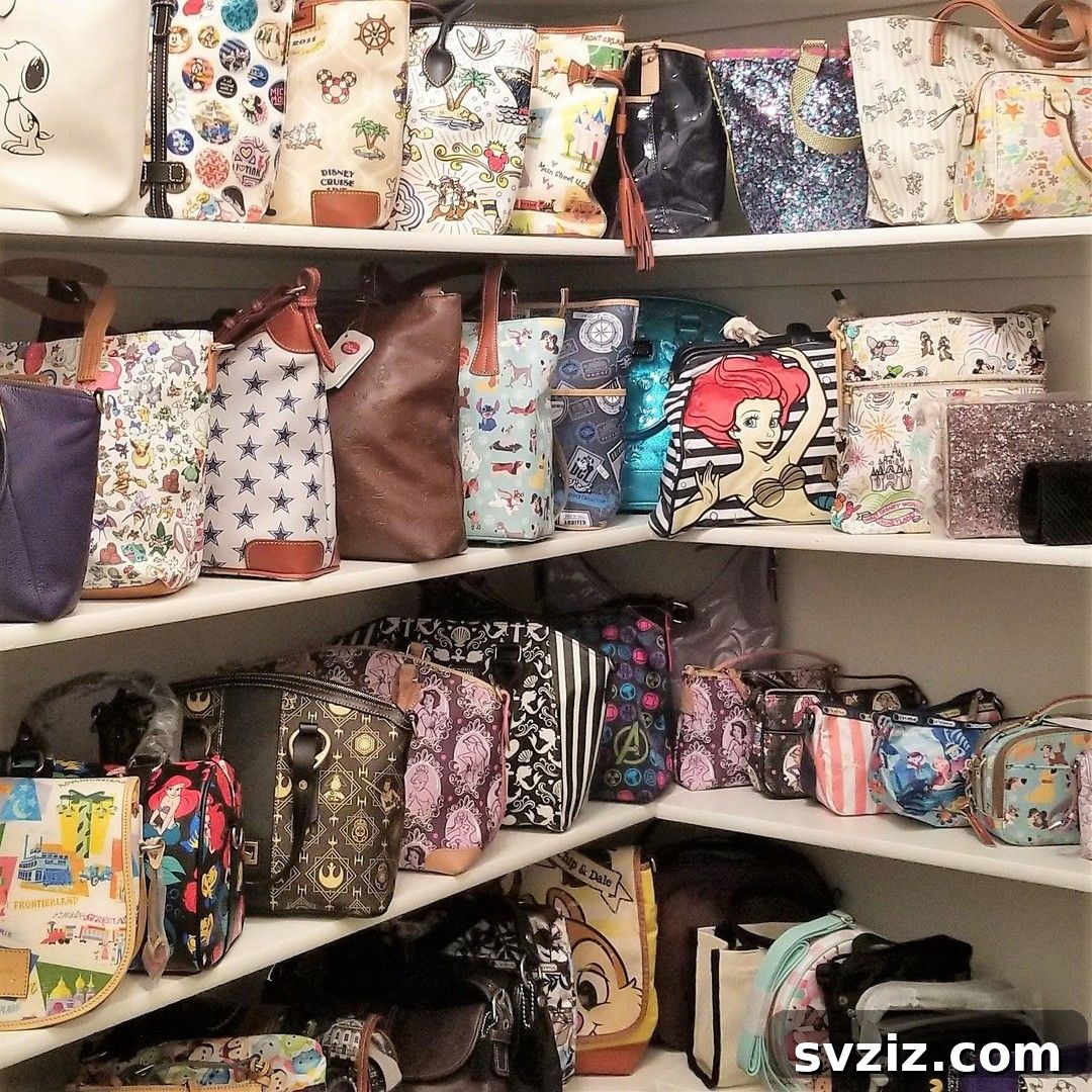 Walk-in closet fully dedicated to handbag and accessory storage