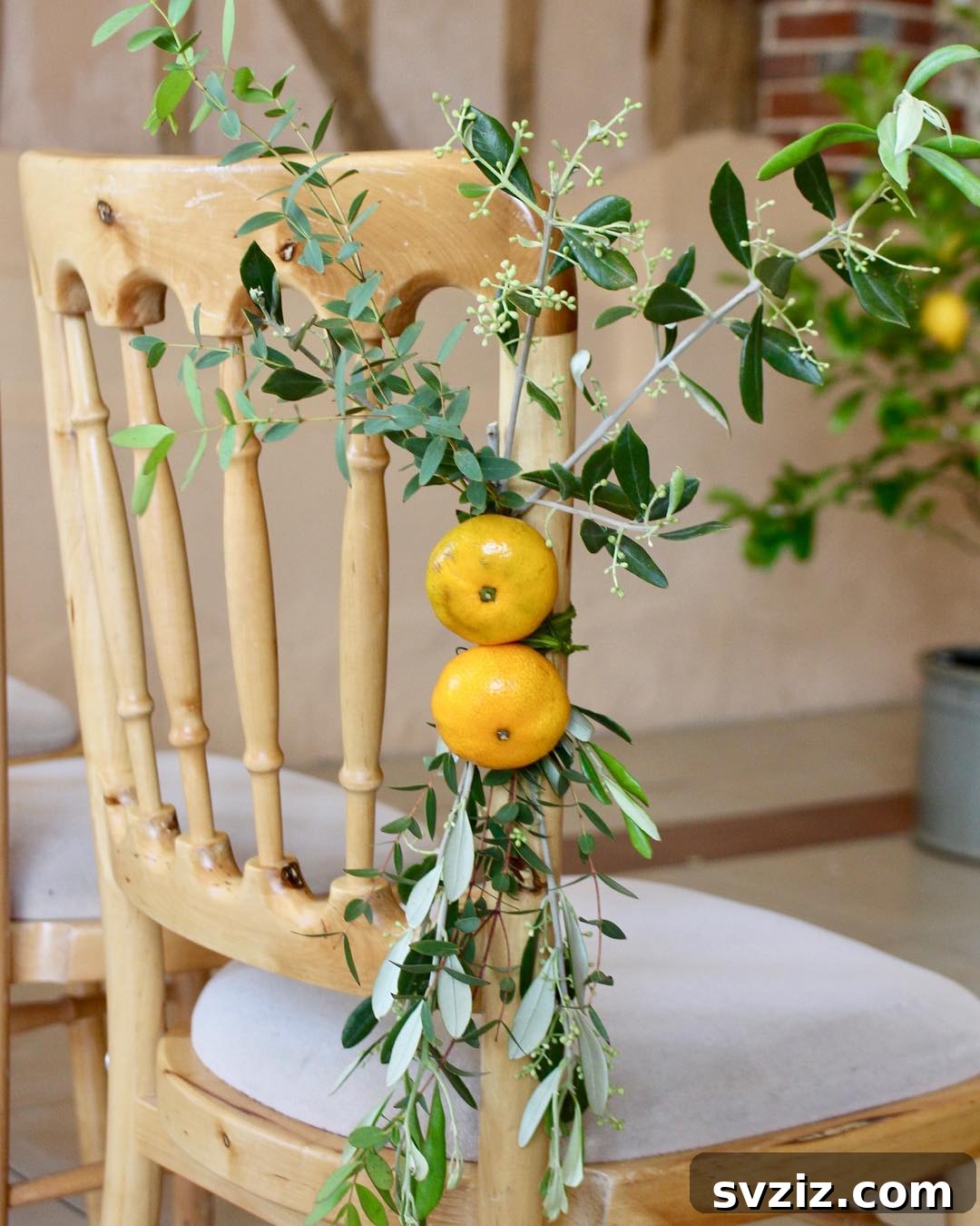 31 Adorable Rustic Wedding Ideas 26 Elegant Olive Tree Chair Decor for Wedding Ceremony