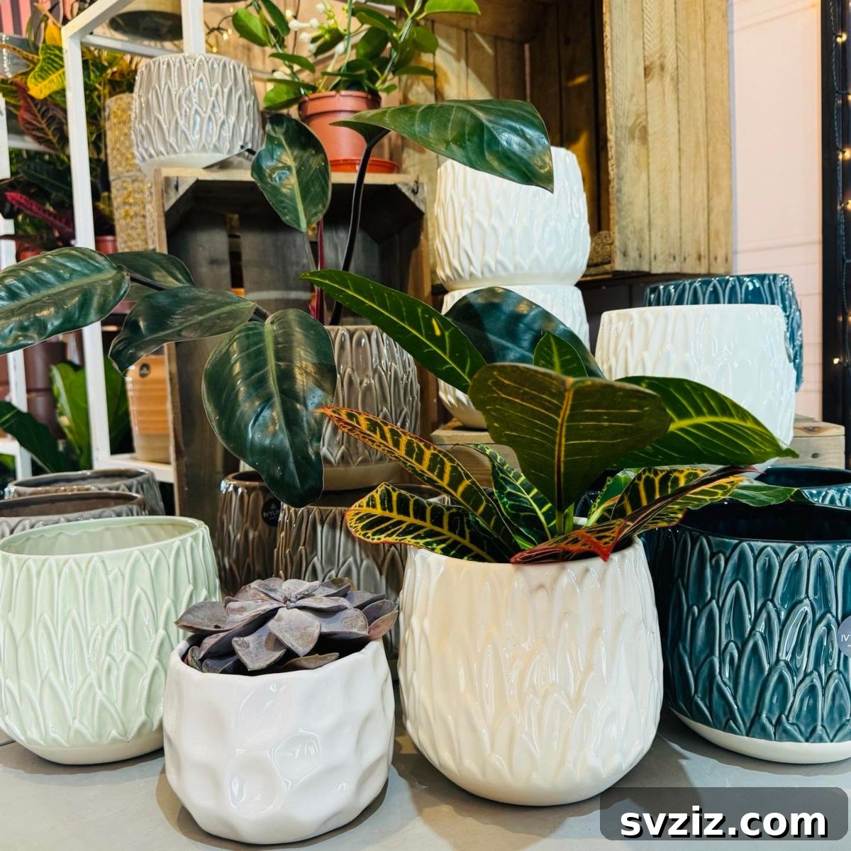 31 Items to Declutter Today 28 pots