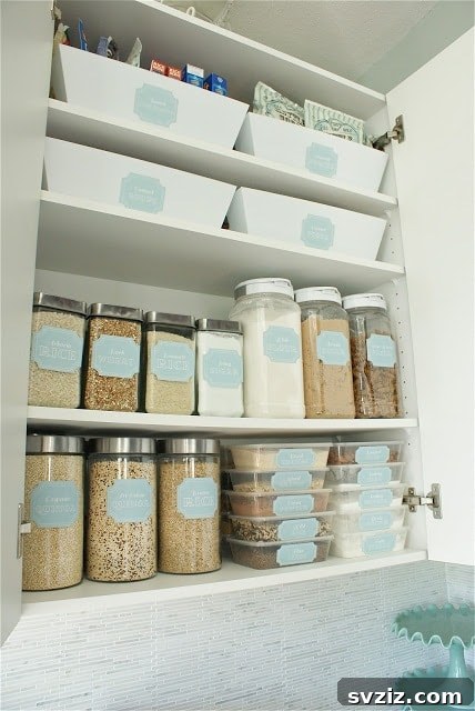 Organized kitchen pantry cabinet with labeled bins and containers