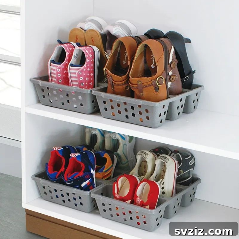 plastic shoe boxes