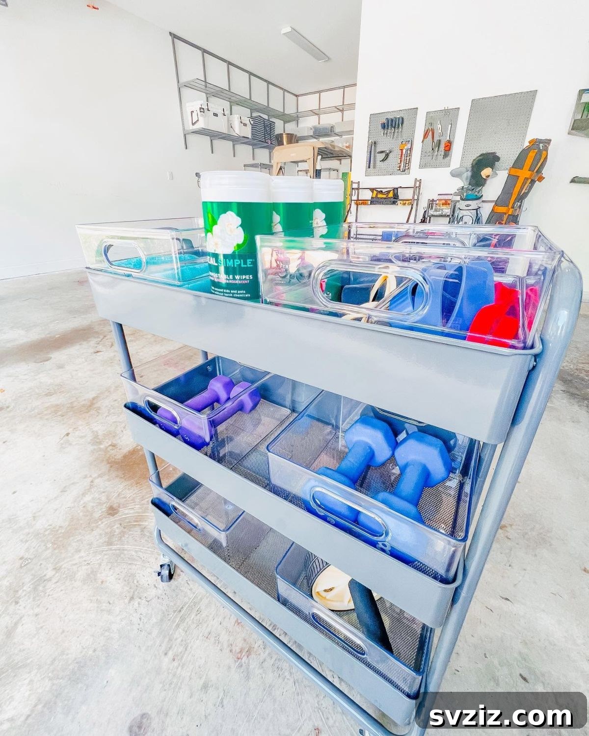 21 Genius Solutions for Home Gym Organization 4 workout cart