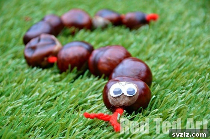  Conker Snake Counting Tool