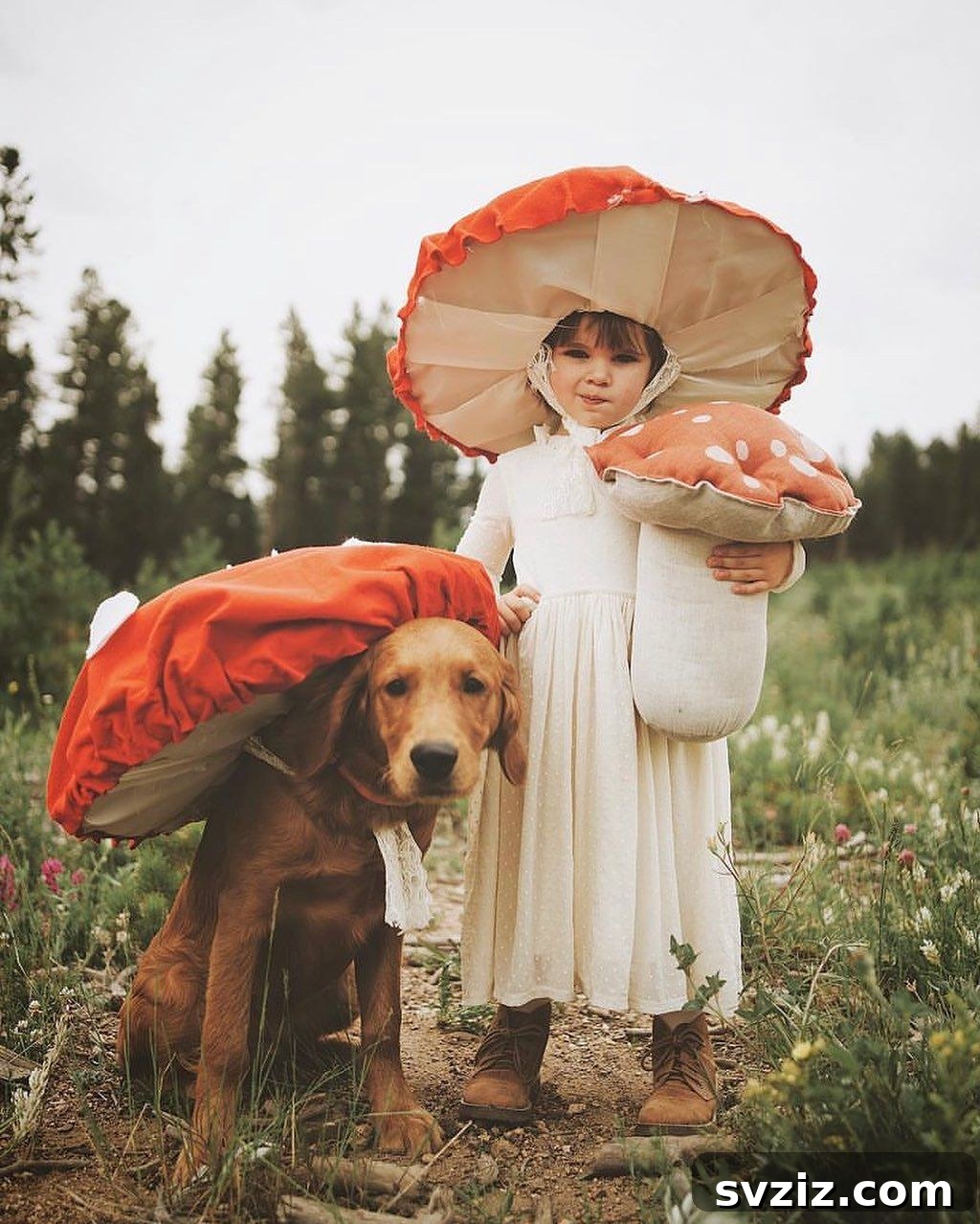 Whimsical Mushrooms Halloween Costume with Dog