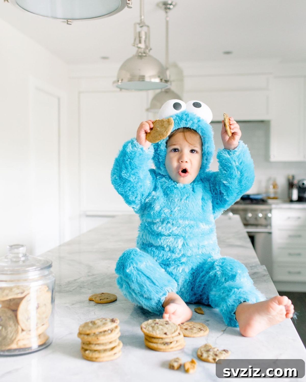 Fluffy Cookie Monster Halloween Costume