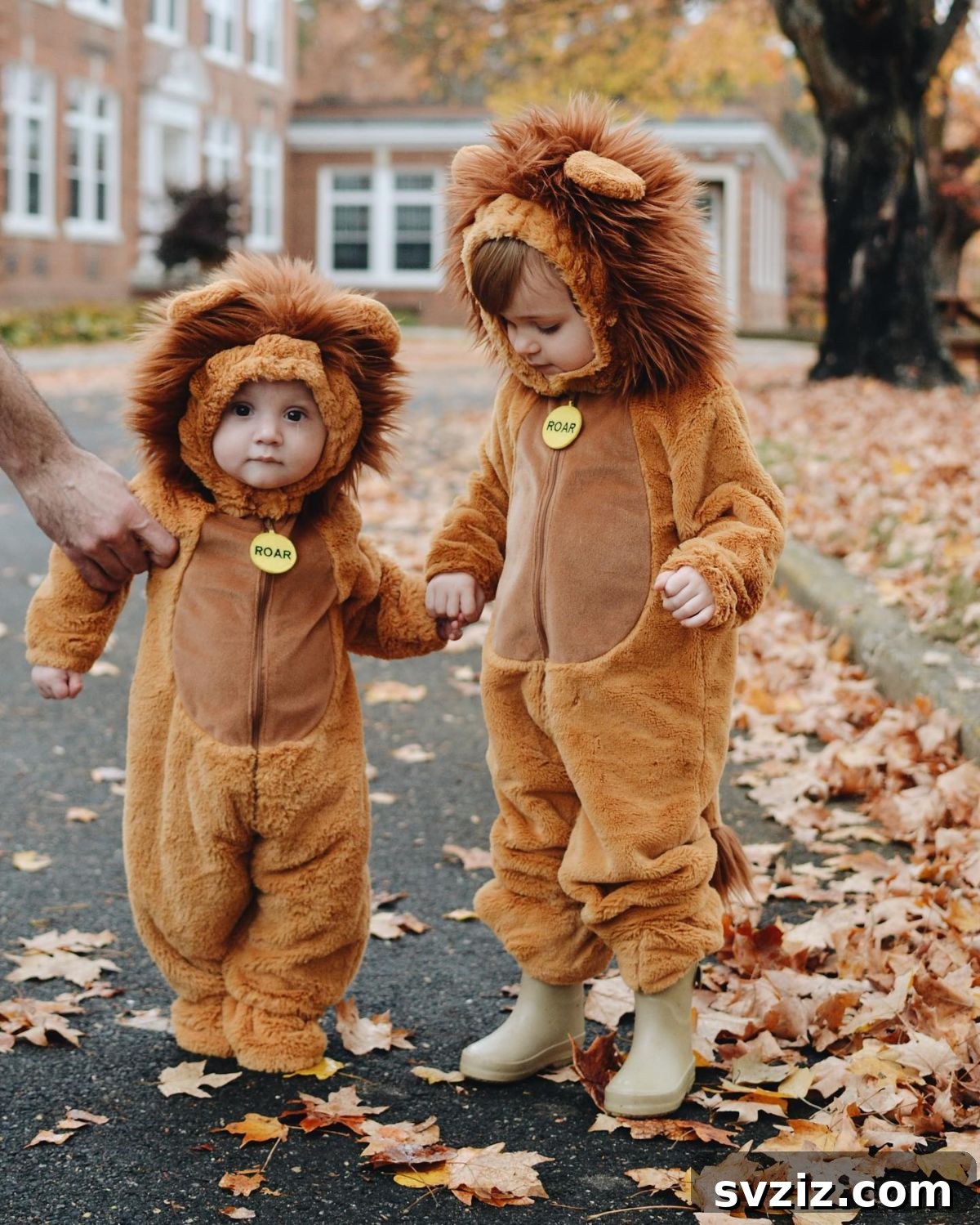 Adorable Cute Lion Cub Halloween Costume
