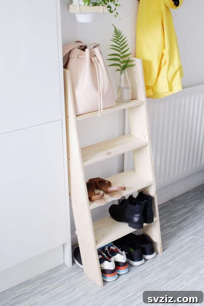 Decorative ladder shelf for shoe storage in entryway or closet