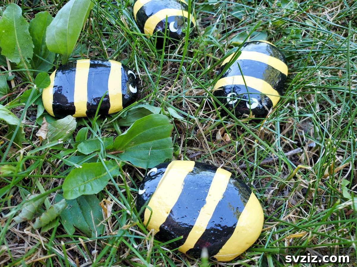 bumble bee rocks