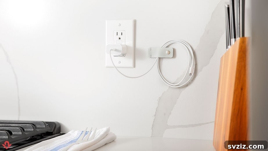 Twelve South SurfaceSnap Cord Organizer