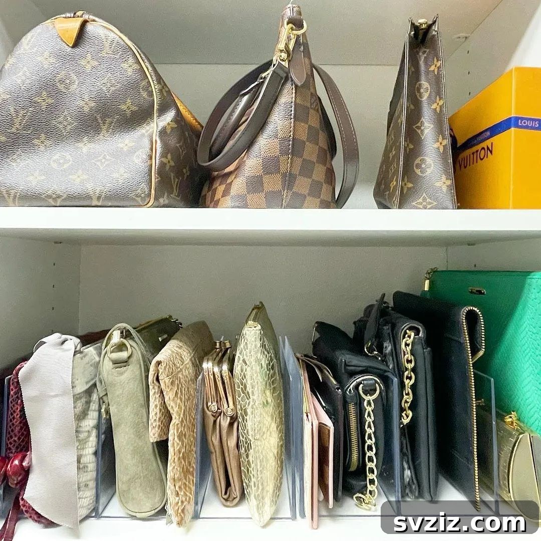 17 Genius Strategies for a Perfectly Organized Closet 16 Bag & Purse Shelf