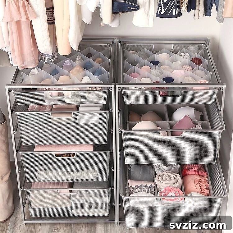 17 Genius Strategies for a Perfectly Organized Closet 5 Dividers for Underwear