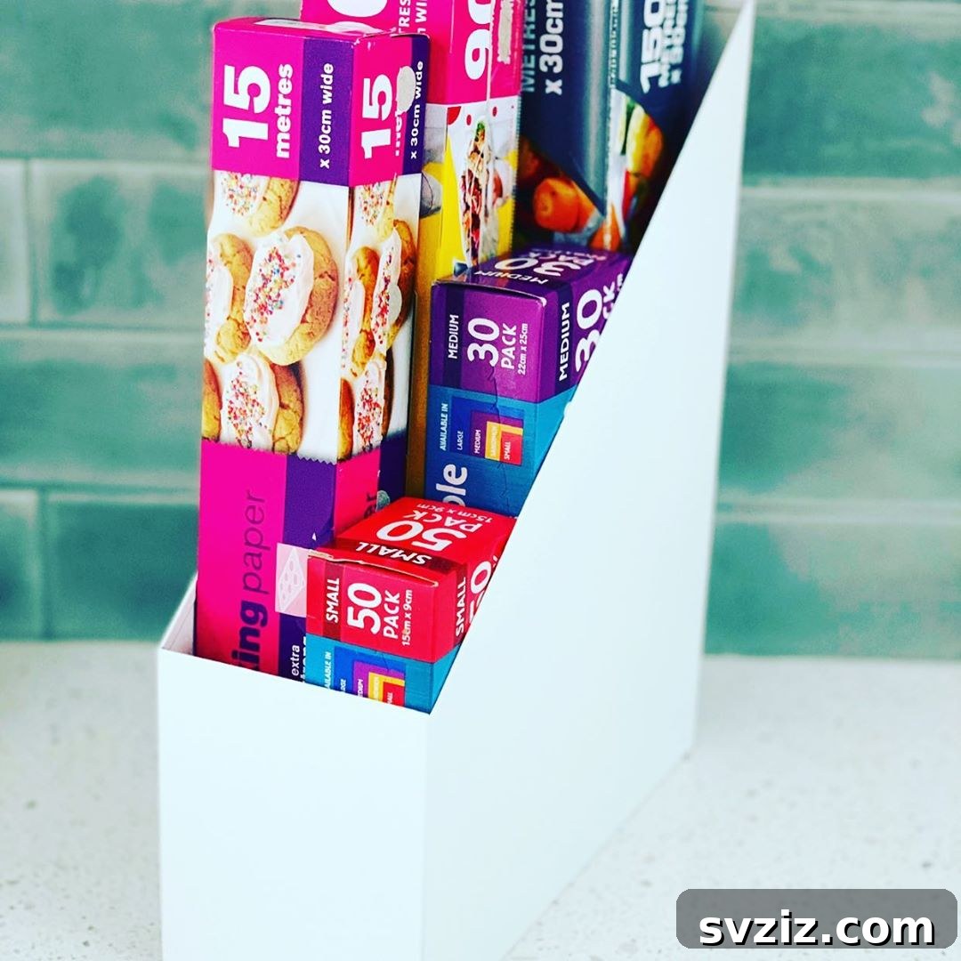 20 Surprising Dollar Store Magazine Holder Hacks 11 Sandwich Bag Storage with Magazine Holders