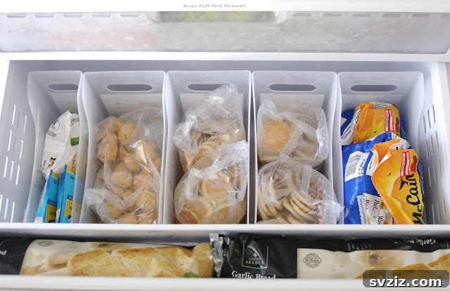 20 Surprising Dollar Store Magazine Holder Hacks 21 Freezer Filing with Magazine Holders