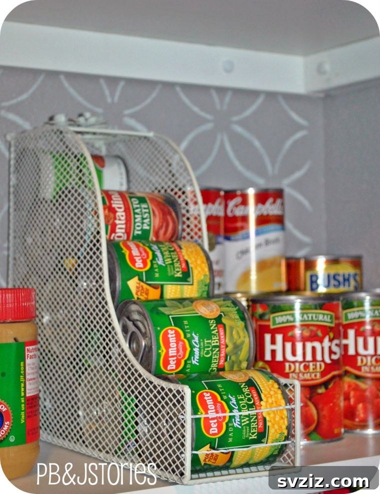 20 Surprising Dollar Store Magazine Holder Hacks 4 Can Storage with Magazine Holders