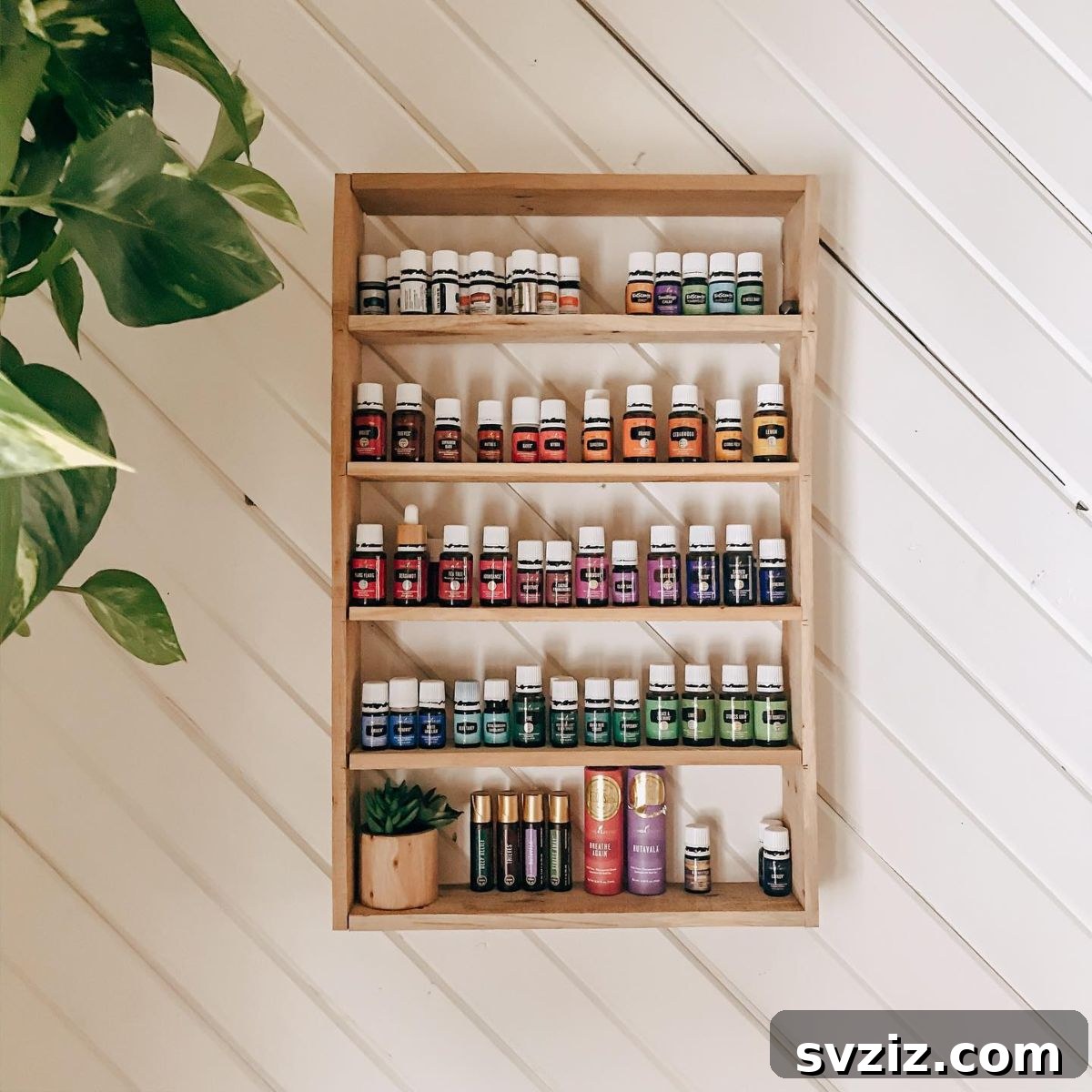 Essential Oil Shelving