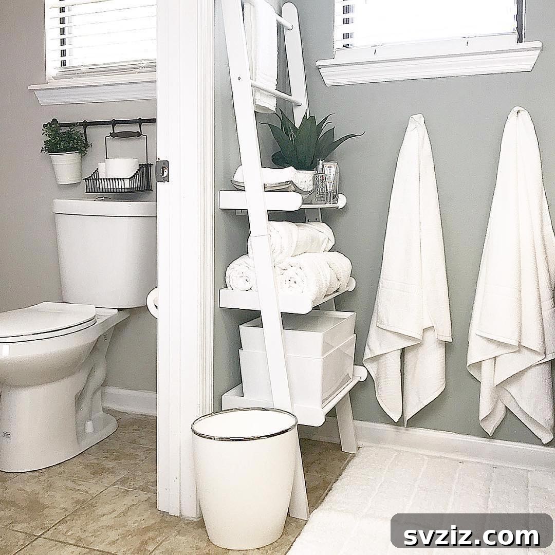 Ladder Shelving