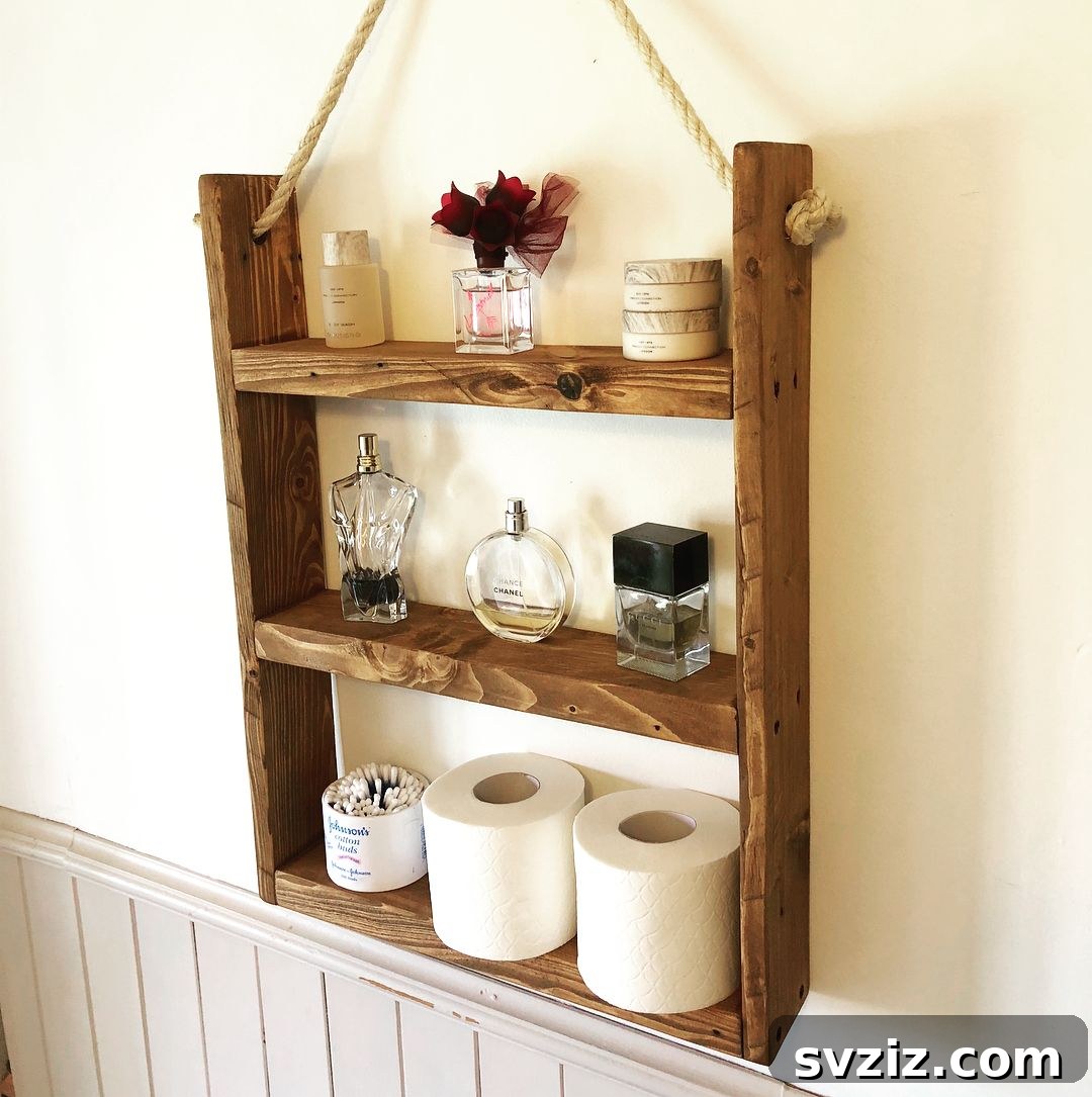 Rustic Ladder Shelf