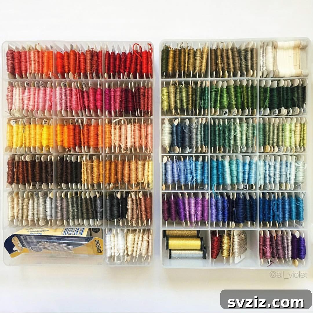 color Coded Plastic Organizer
