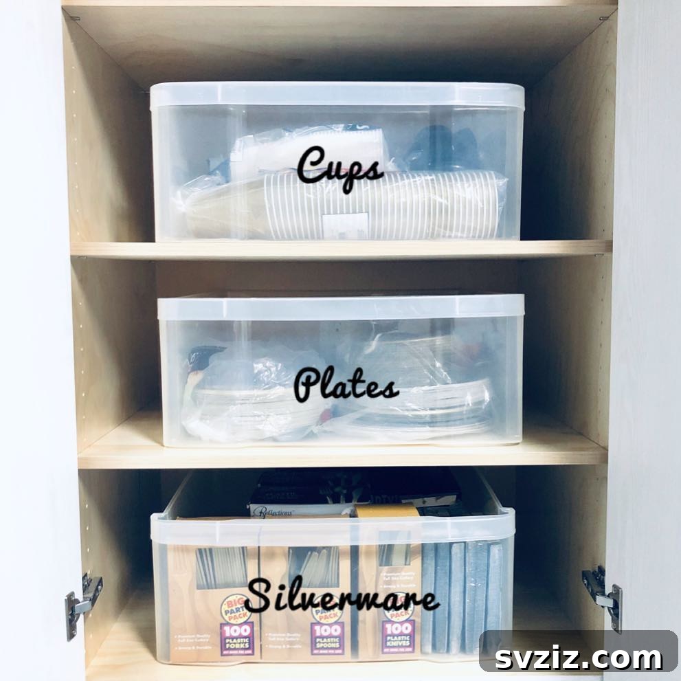 Disposable Dishware Storage