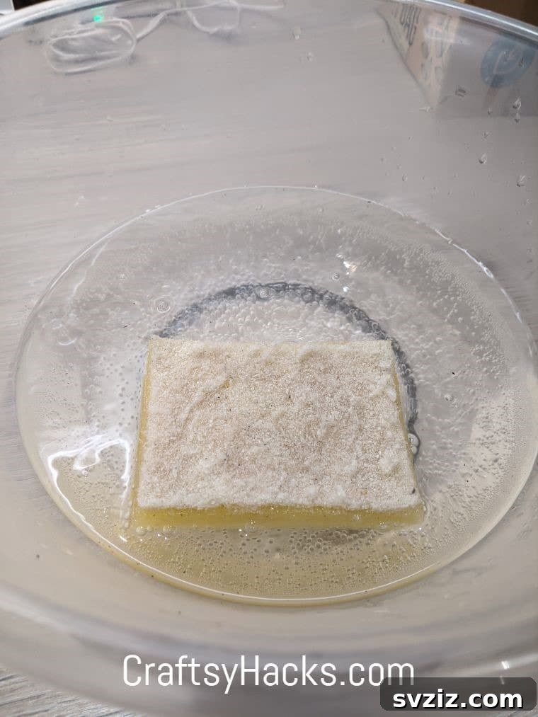 Refreshing smelly sponges with a baking soda soak