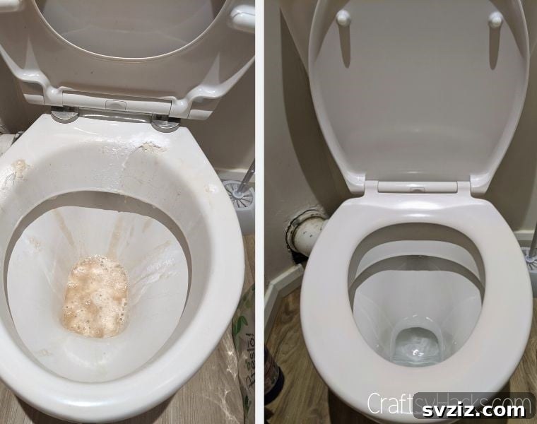 Cleaning a toilet bowl with baking soda and vinegar for a natural sparkle