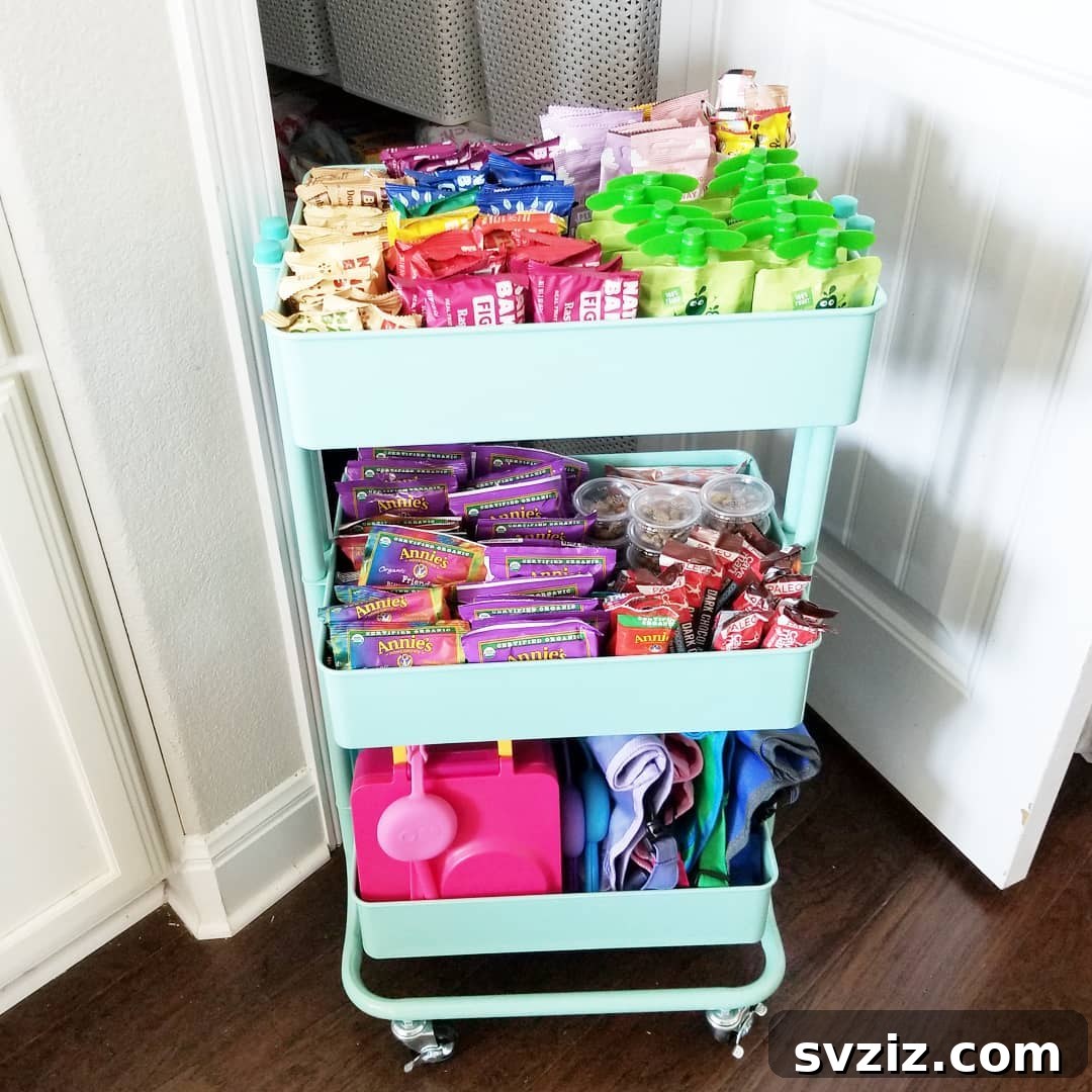 21 Genius Vertical Pantry Hacks for Ultimate Organization 22 Compact rolling cart offering portable vertical pantry storage, ideal for small spaces and keeping essentials accessible.
