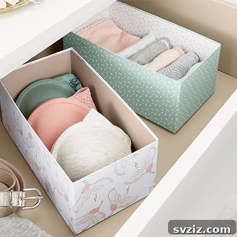 21 Genius Cardboard Hacks for an Organized Home 12 Elegant Cardboard Drawer Organizers for Underwear and Delicates