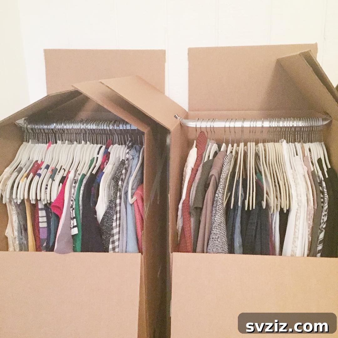 Effortless Organization: 21 Hacks for a Life on the Go 15 wardrobe boxes