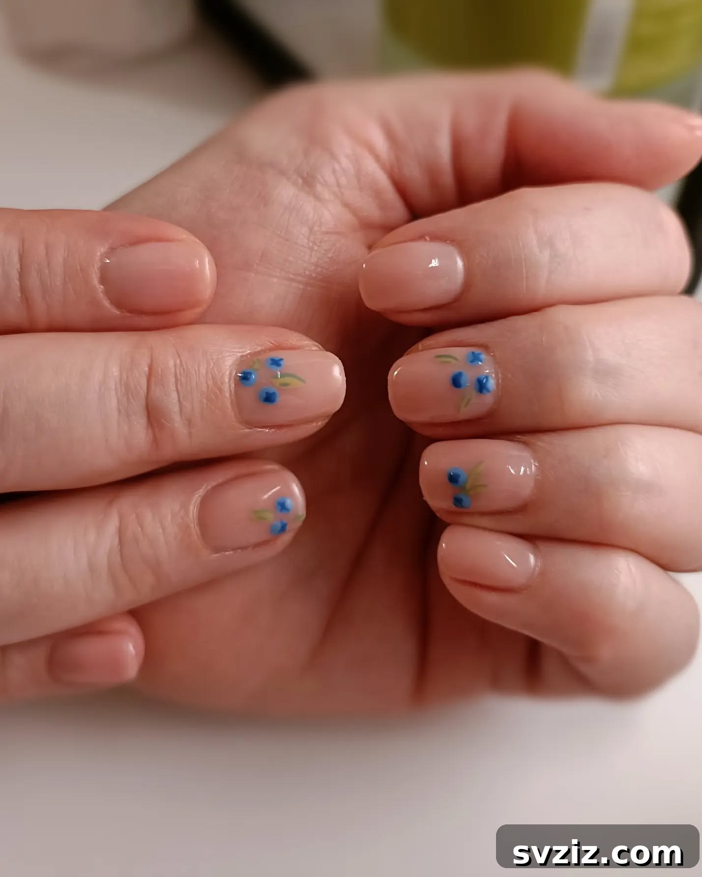 Sweet Minimalist Nail Design with Dainty Blueberry Art