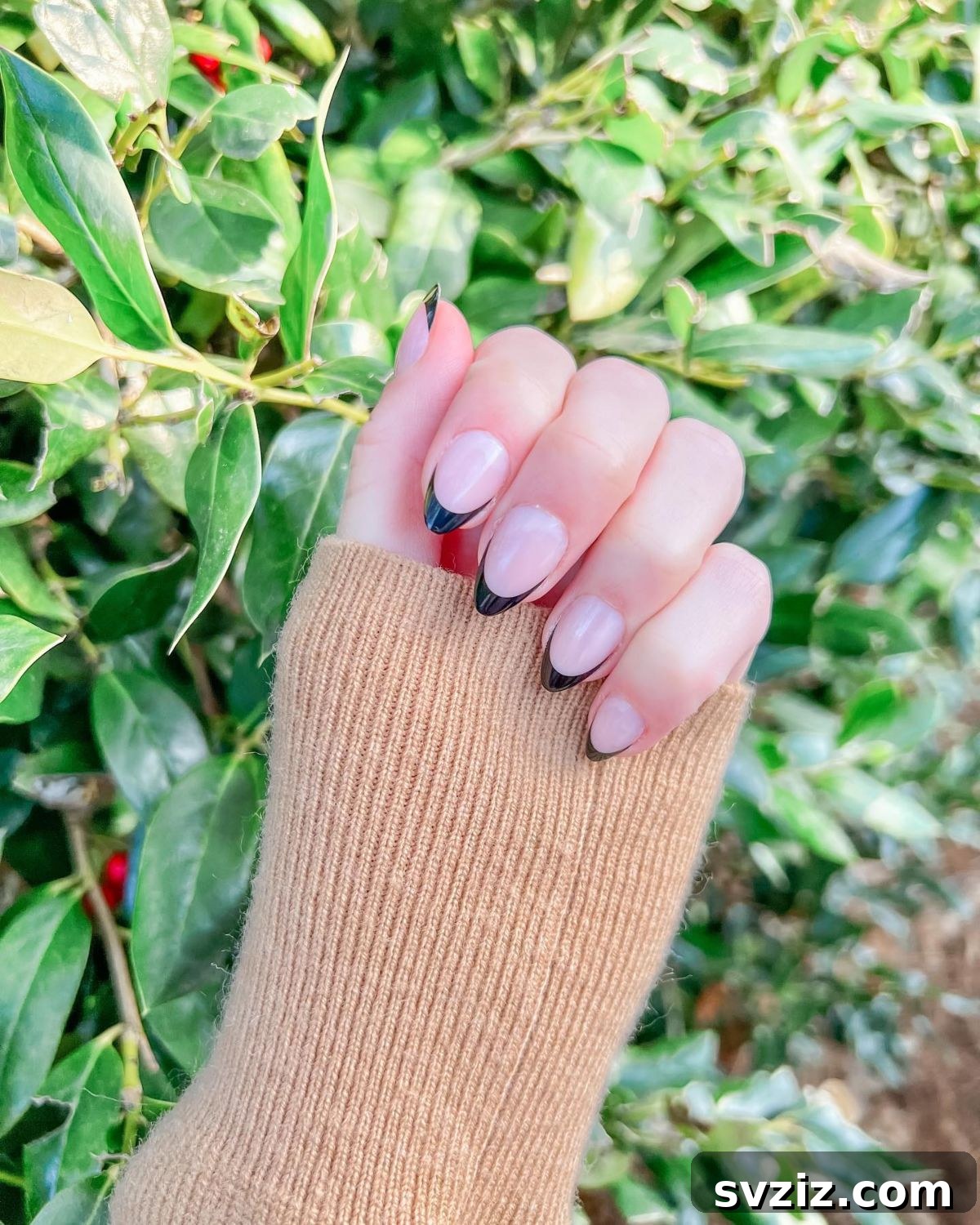 41 Chic and Elegant Nail Design Ideas 32 30. Pink and Black French Nails