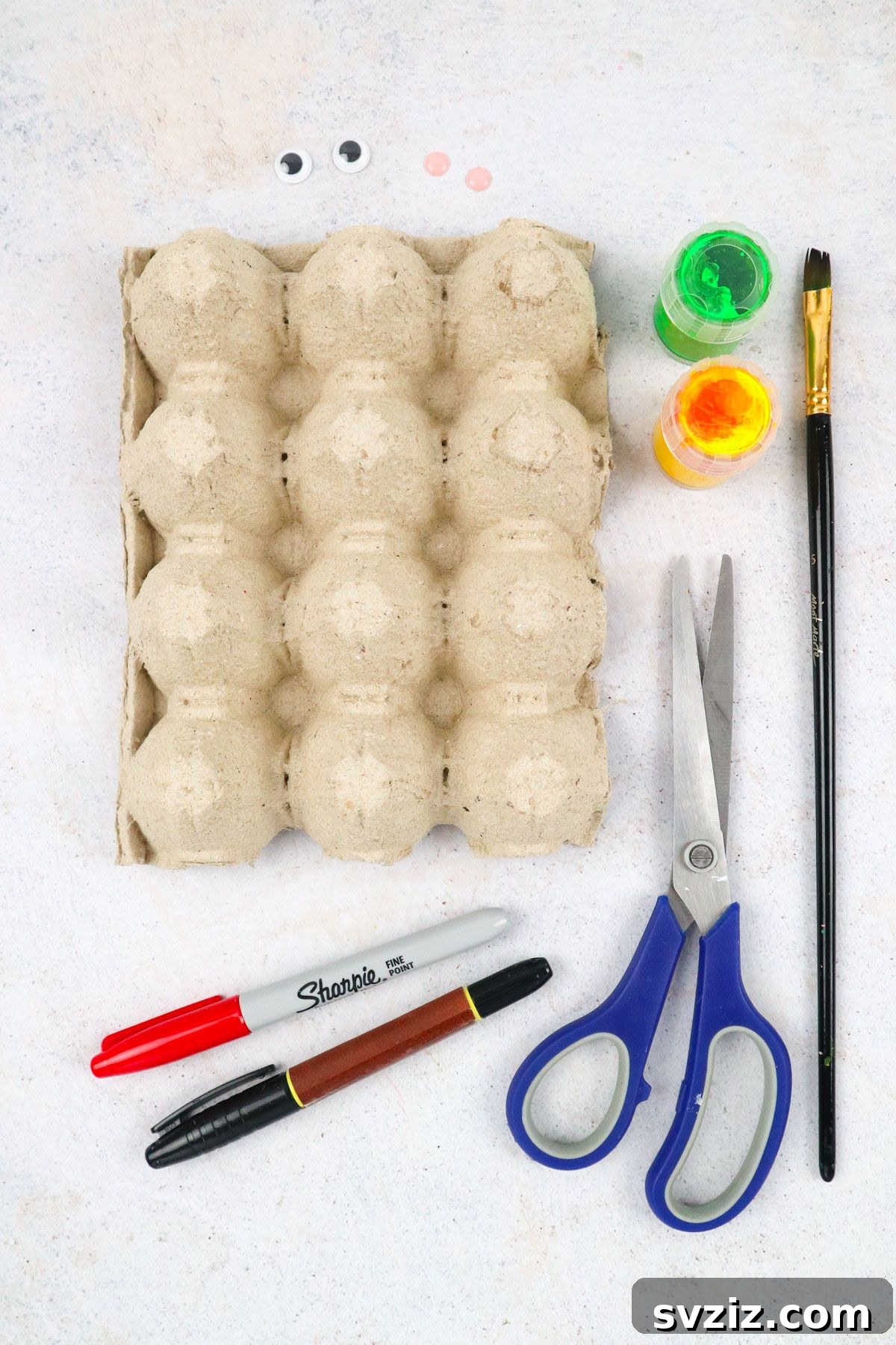 Hatch a Turtle from an Egg Carton 3 DIY Egg Carton Turtle Materials Laid Out