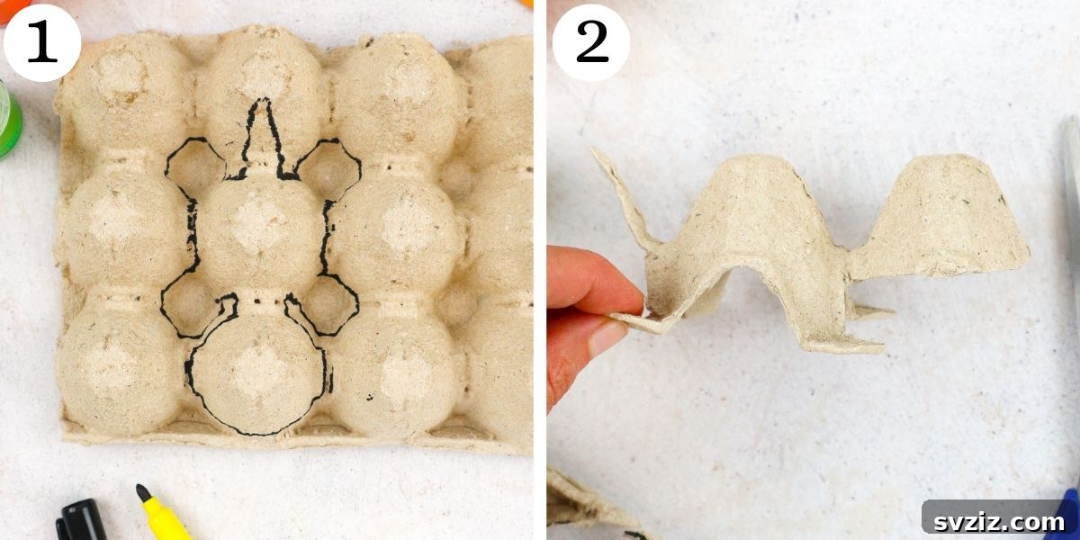 Hatch a Turtle from an Egg Carton 4 Creative Egg Carton Turtle Instructions: Drawing and Cutting