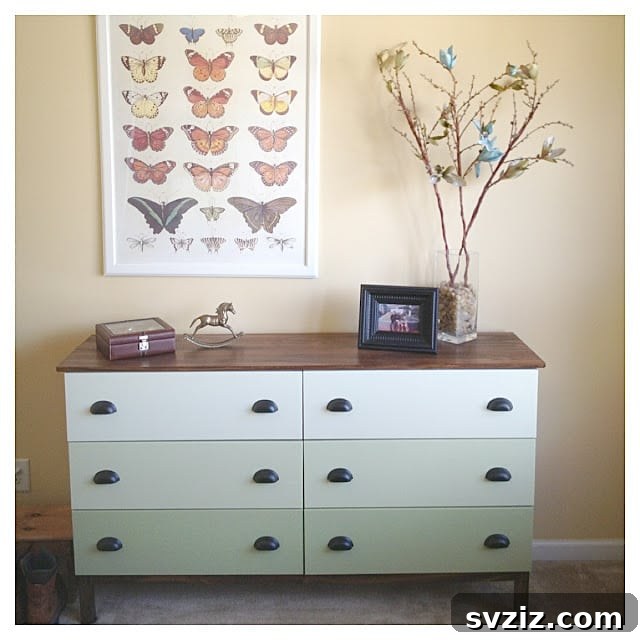 20 Brilliant IKEA Dresser Ideas for Your Bedroom 6 Ombre Tarva Dresser