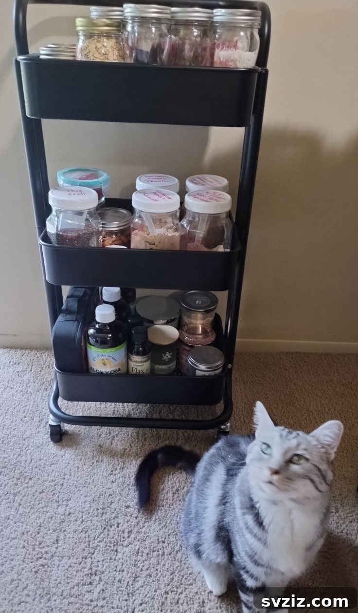 21 Brilliant Organizing Stations to Declutter Your Entire Life 15 Smoothie bowl topping station with airtight canning jars