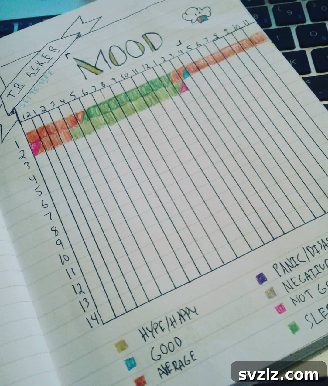 Depression Data Bullet Journal for Tracking Moods, Sleep, and Habits
