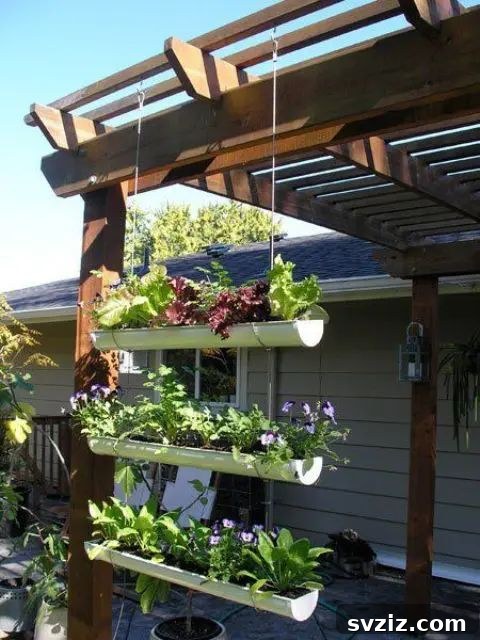 Hanging white rain gutter garden