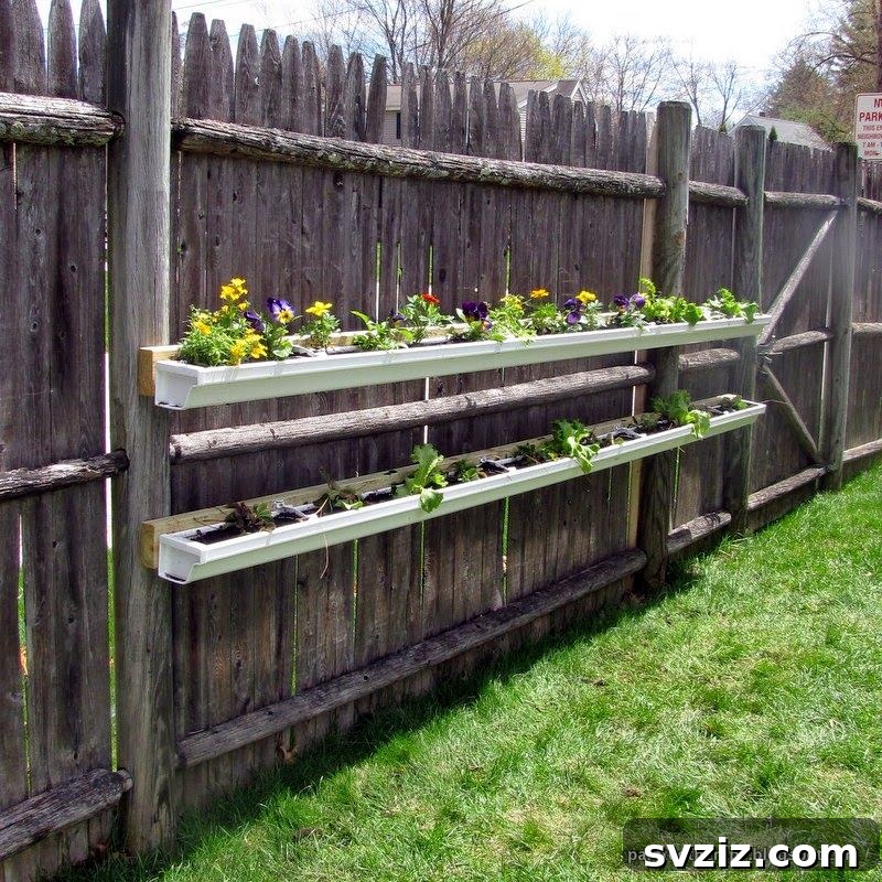 DIY rain gutter garden on a fence