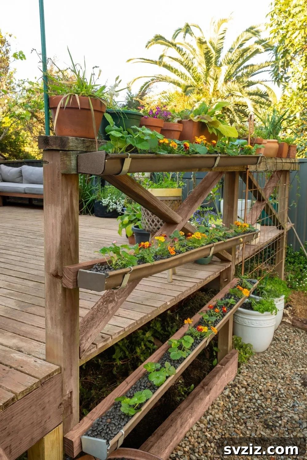DIY hydroponic gutter garden