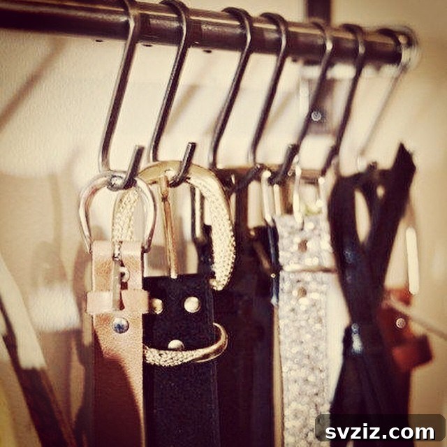 17 Genius Hacks for Belt Organization 11 S Hooks
