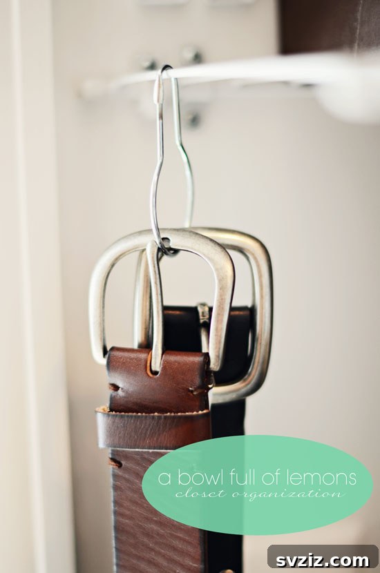 17 Genius Hacks for Belt Organization 19 Shower Curtain Hook