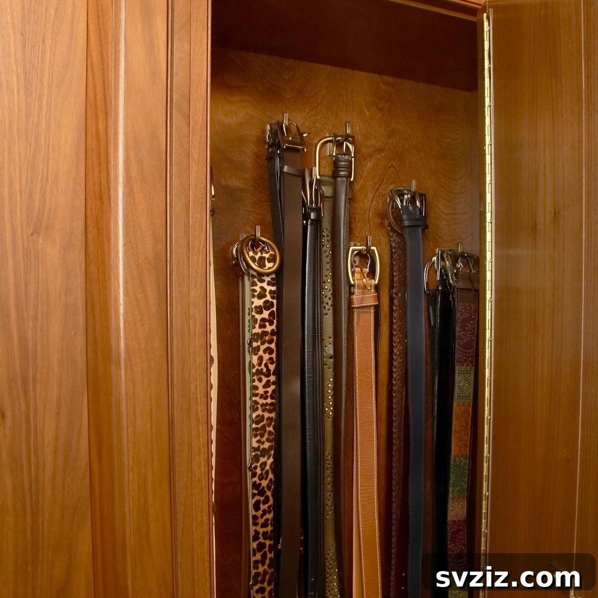 17 Genius Hacks for Belt Organization 10 Closet Hooks