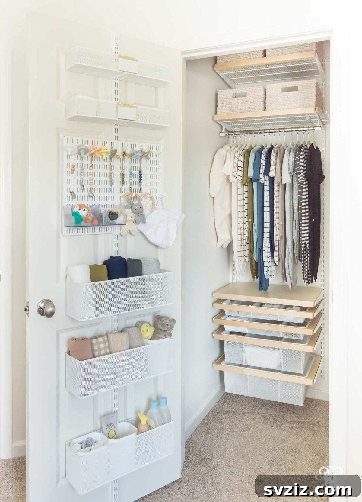 Closet Over the Door Organizer